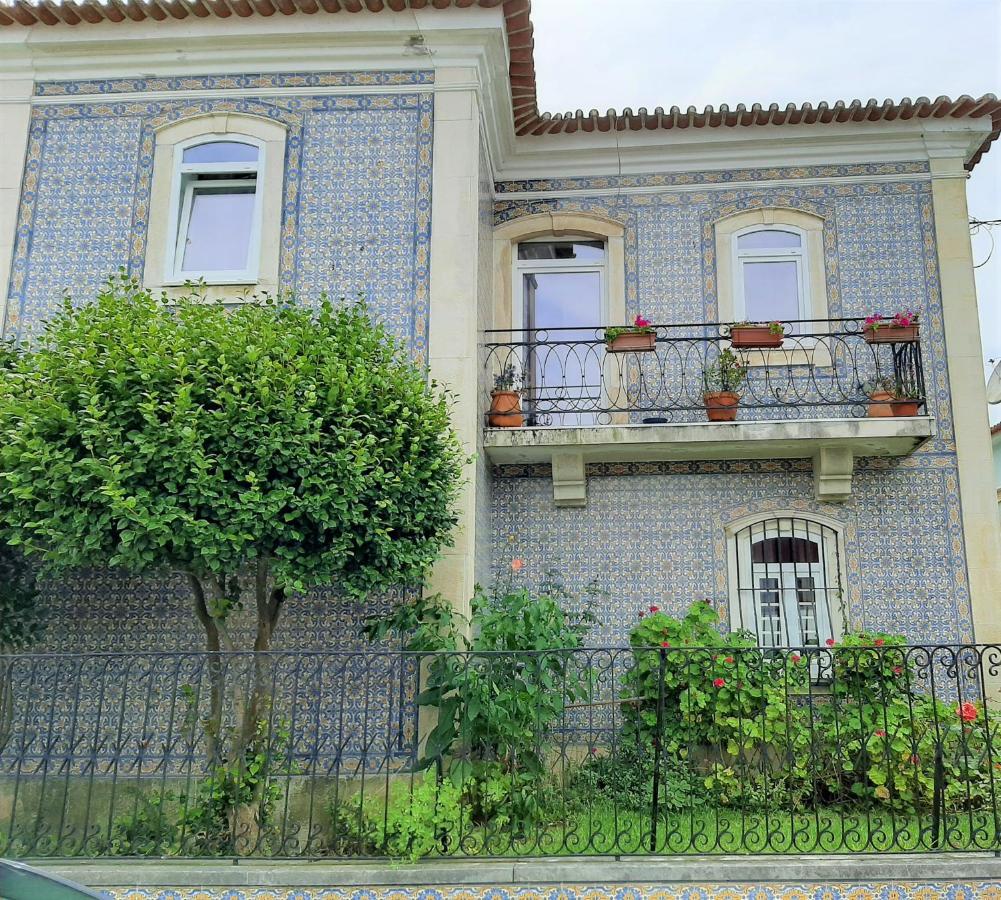 Casa Das Camelias Garden Guesthouse Aveiro Zewnętrze zdjęcie