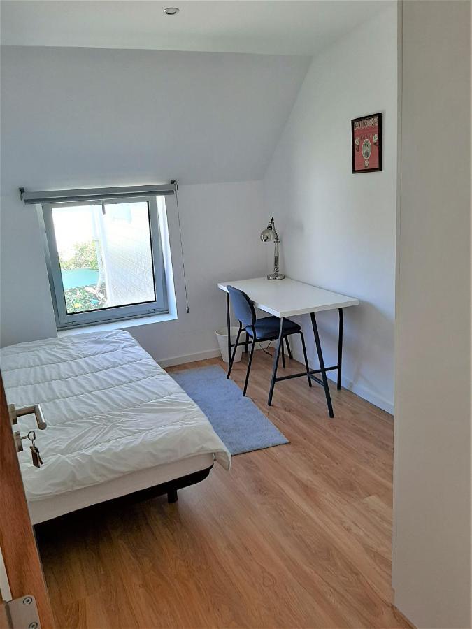Casa Das Camelias Garden Guesthouse Aveiro Zewnętrze zdjęcie